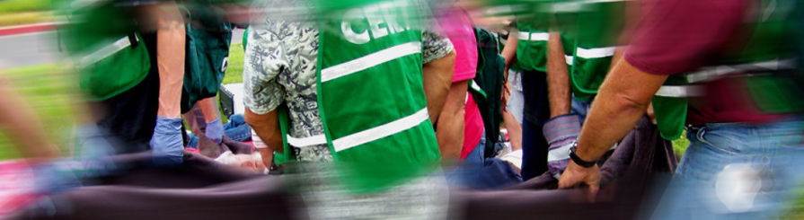 CERT Training in action