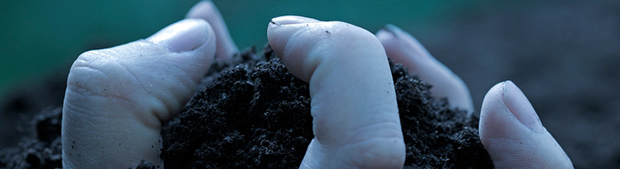 people caught in traffic fleeing a disaster